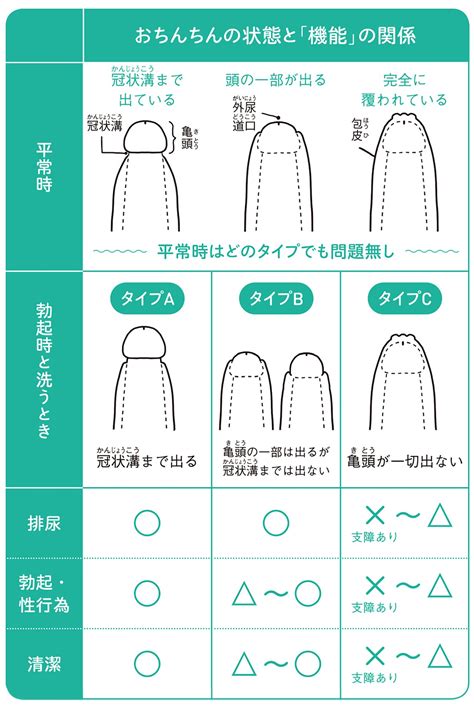 ちんこの皮|「ちんこの皮が多い…」9割の男性が知らない皮が多。